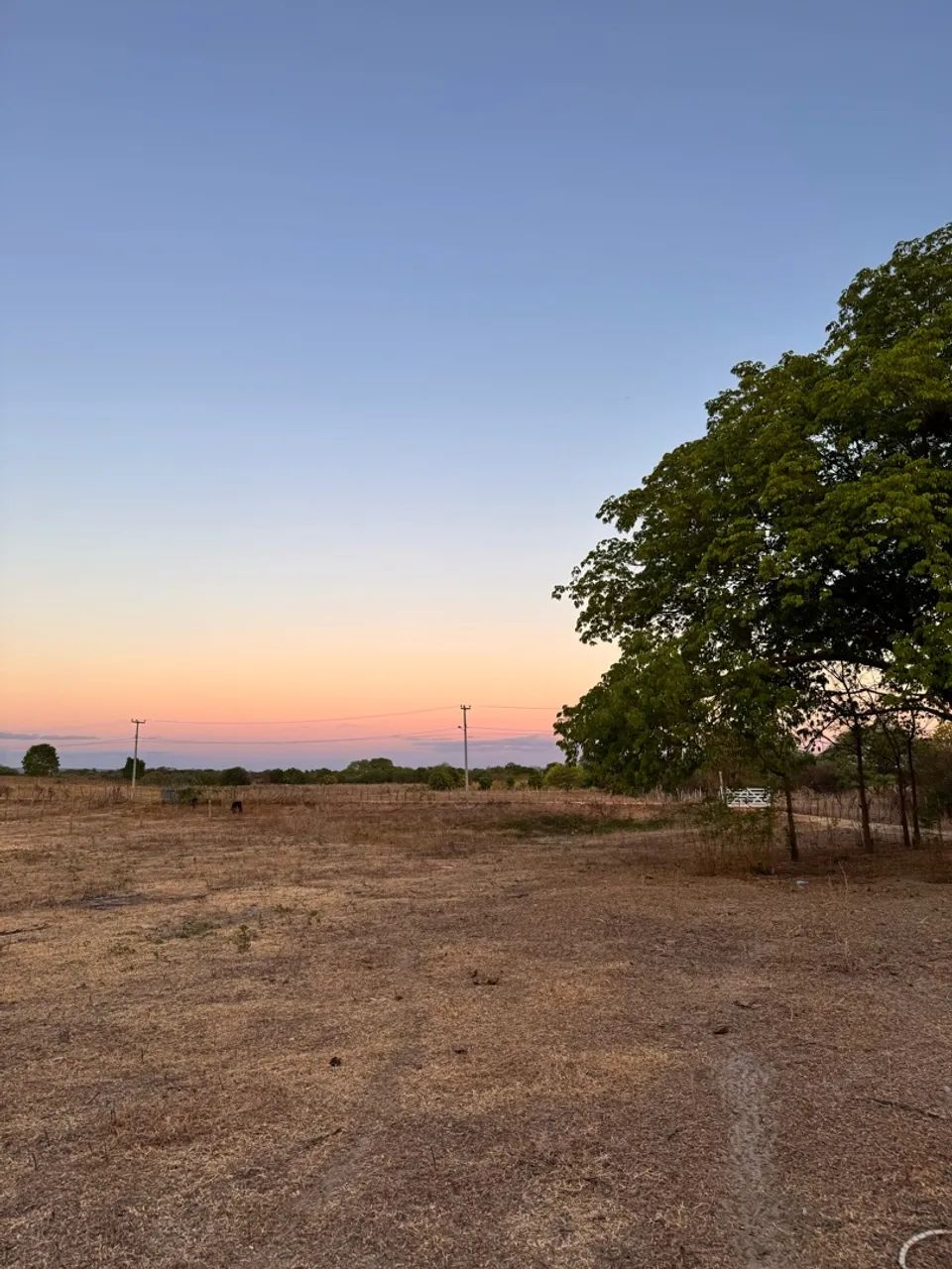 Vende se sítio  - Foto 3