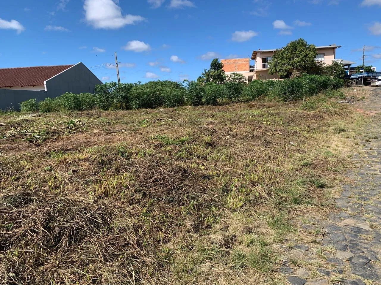 Lote na entrada de Itaiopolis  - Foto 2