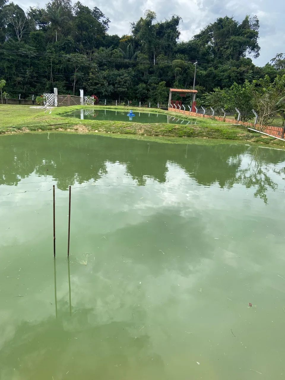  Vendo sítio! Aceito proposta,ou casa em Manaus , - Foto 5
