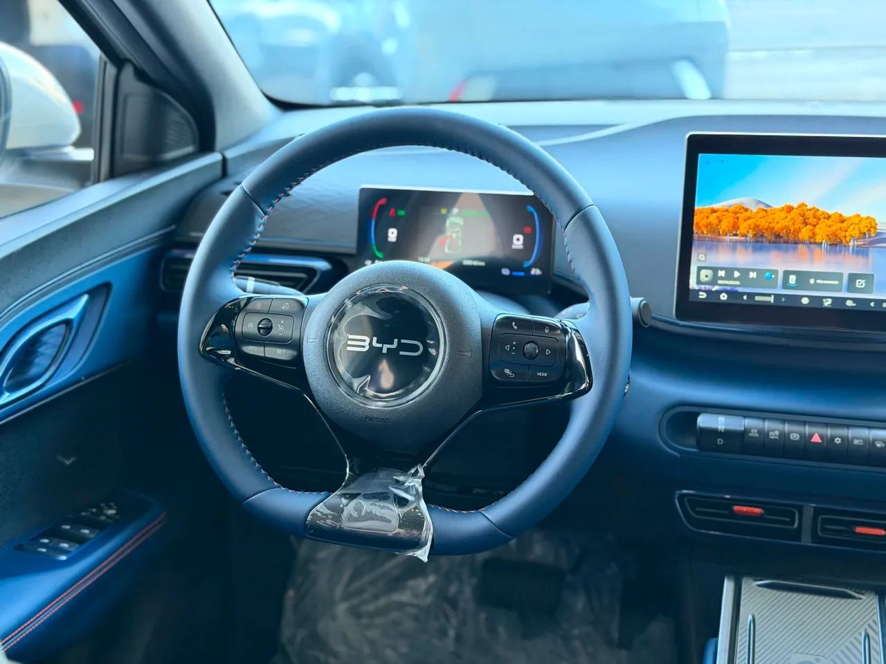 BYD Dolphin Mini (Elétrico) 2027 - Foto 4