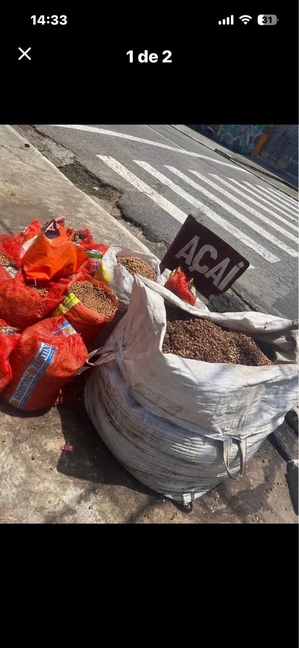 Caroço seco de Açaí  - Foto 5