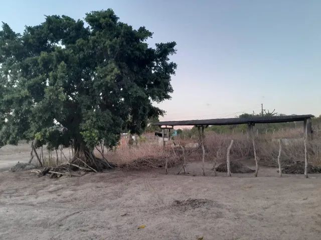 Sítio em Puxinanã-PB - Foto 3