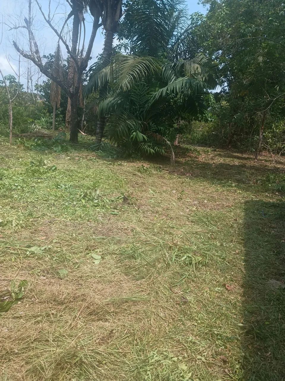 Troco Sítio P/casa Ou Apto  - Foto 3