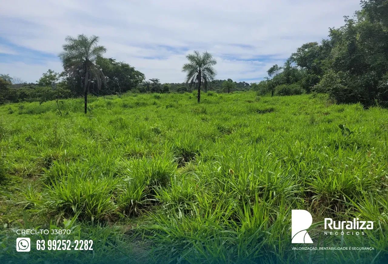 39 ALQUEIRES | 95 HA PARA ABERTURA | RIO PIRANHAS