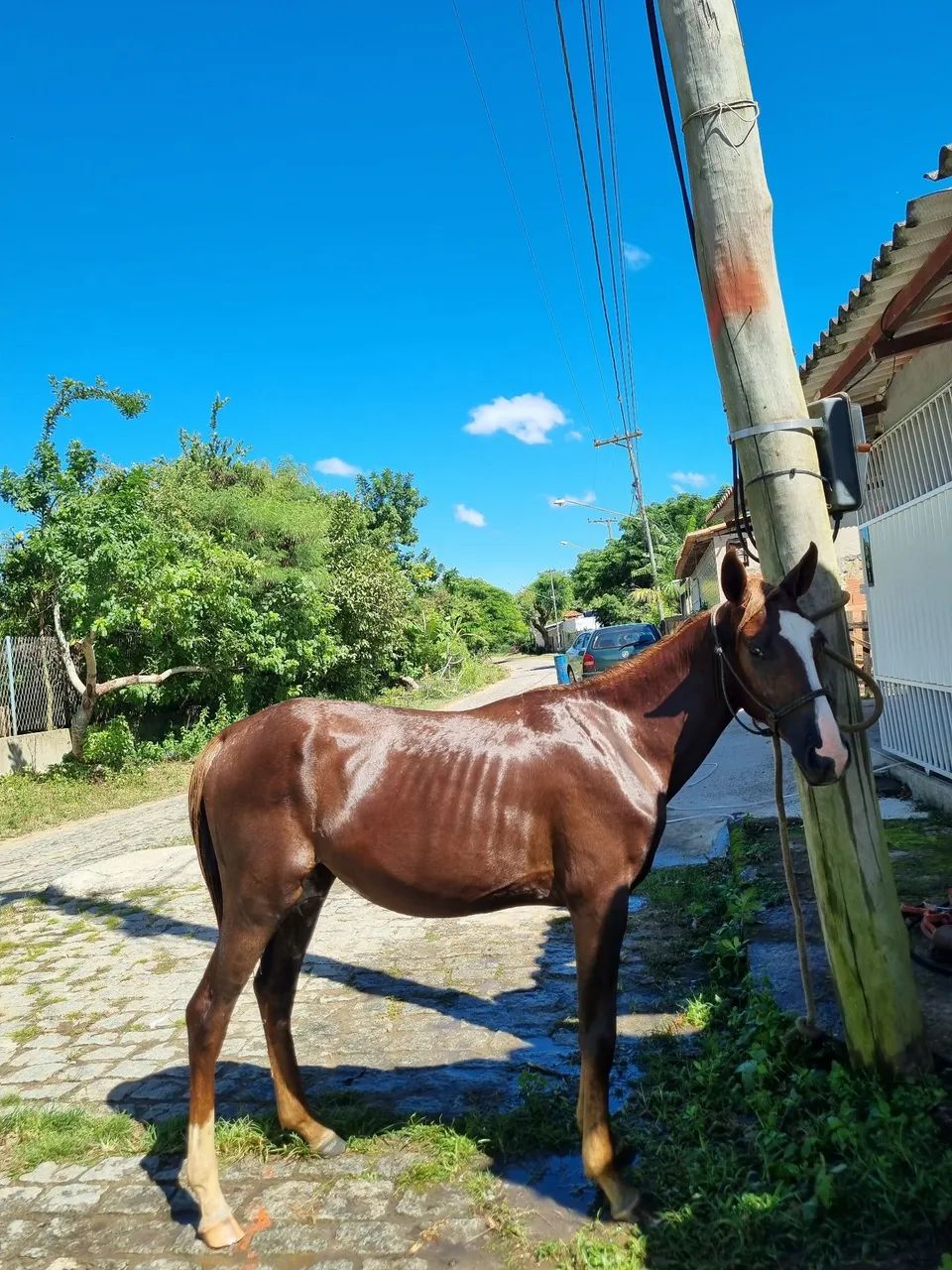 Vendo ou negocio  - Foto 4