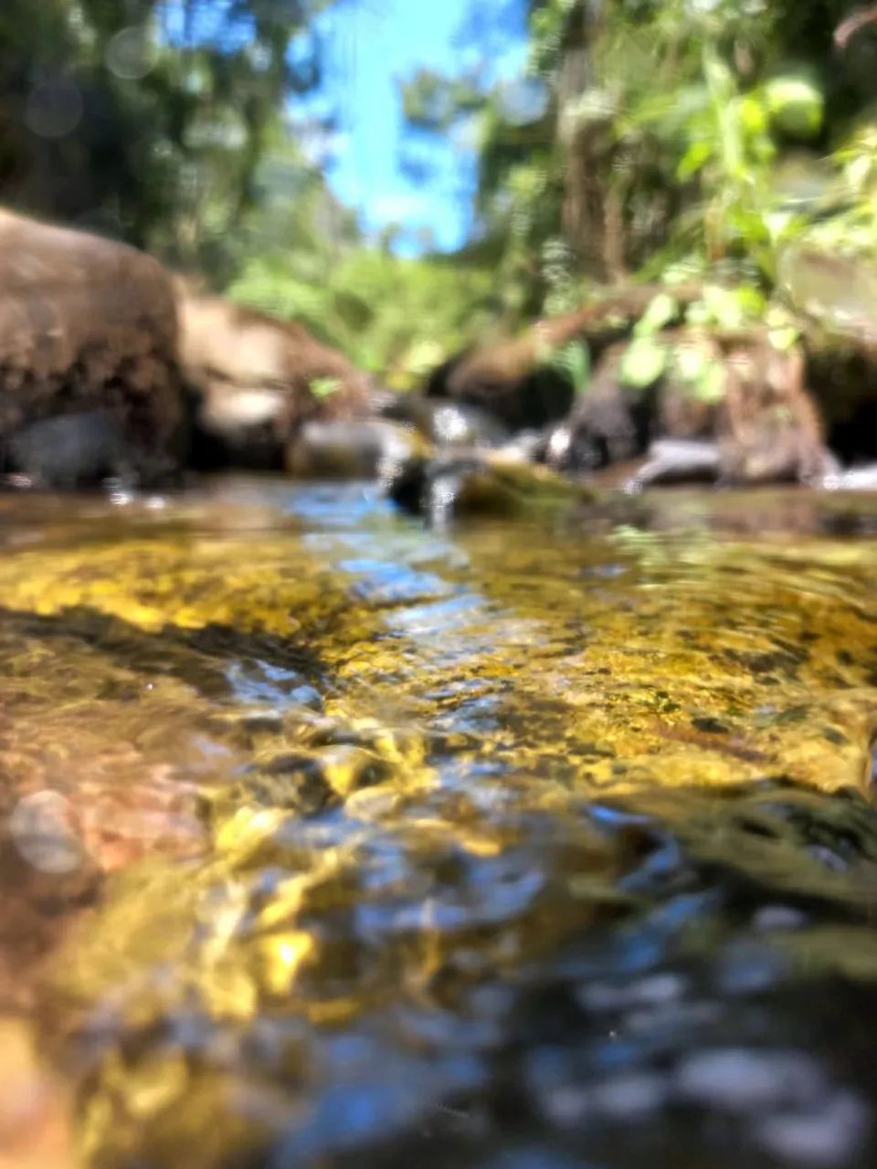 Linda chácara em Rancho Queimado 