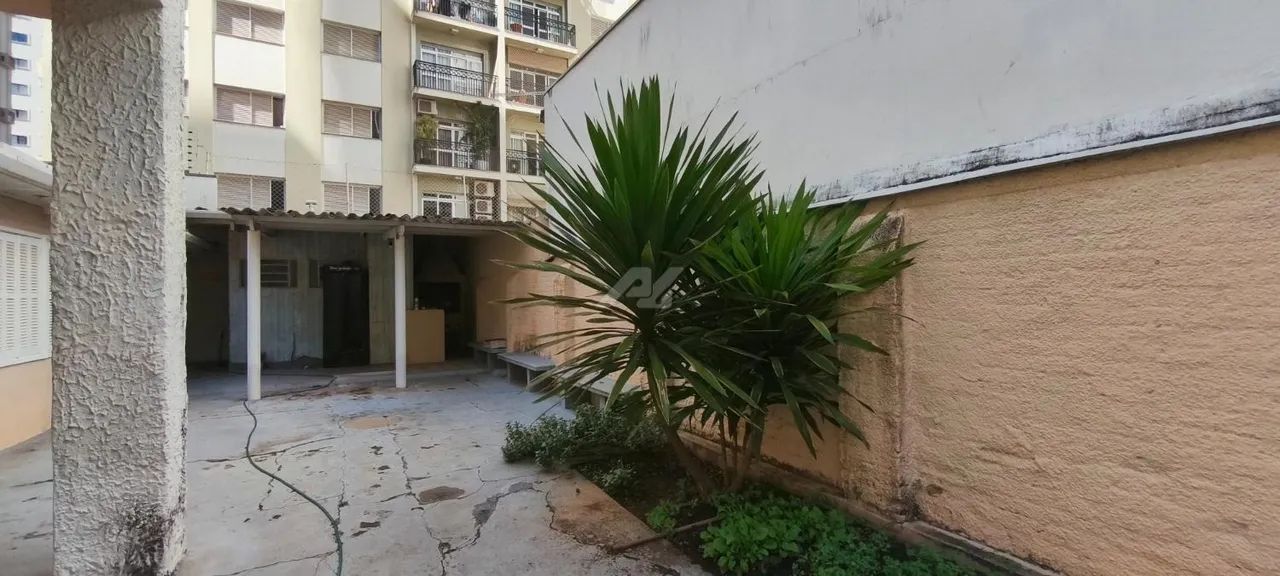 sala - Cambuí - Campinas - Foto 3