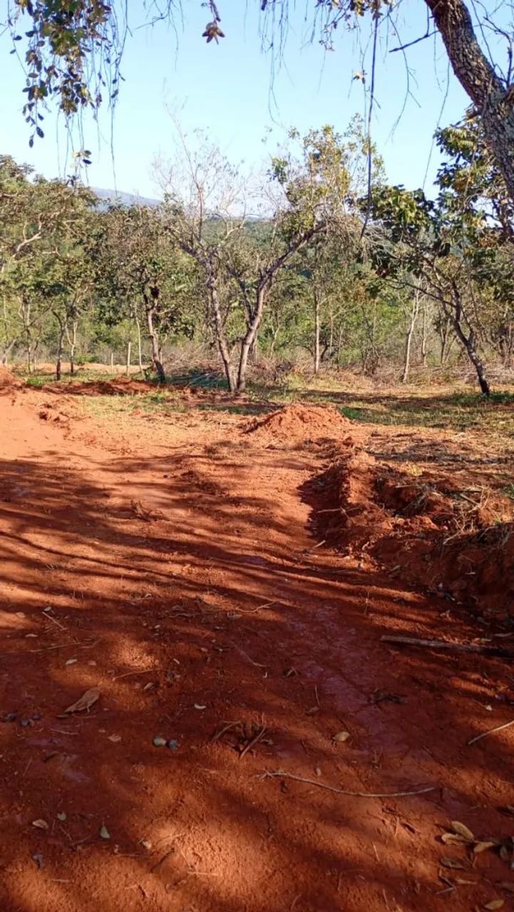 Chacaras rurais em mateus leme  - Foto 2