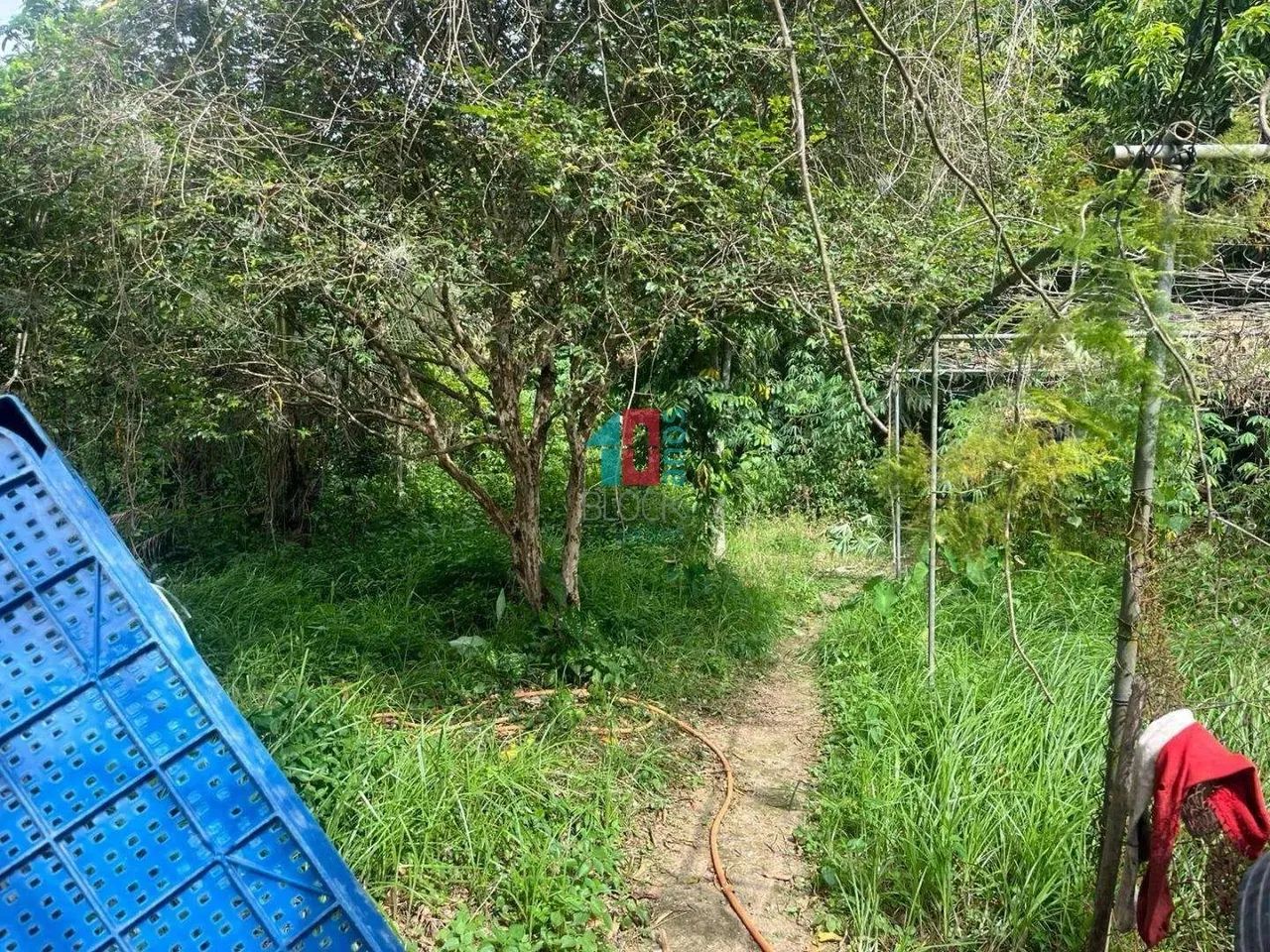 Vargem Grande | Terreno 1 quarto - Foto 14