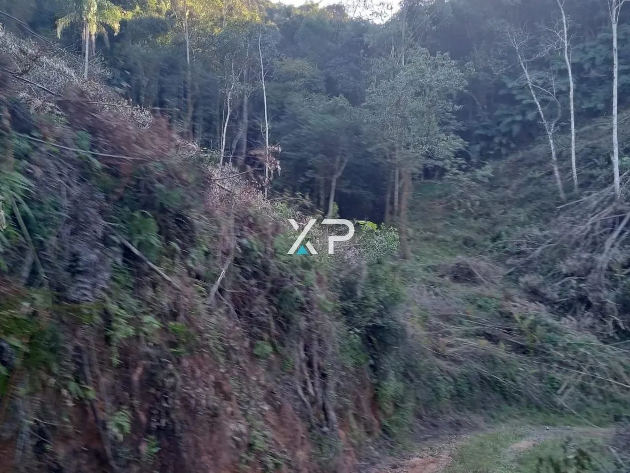Sítio l Em Anitópolis a venda | - Foto 2