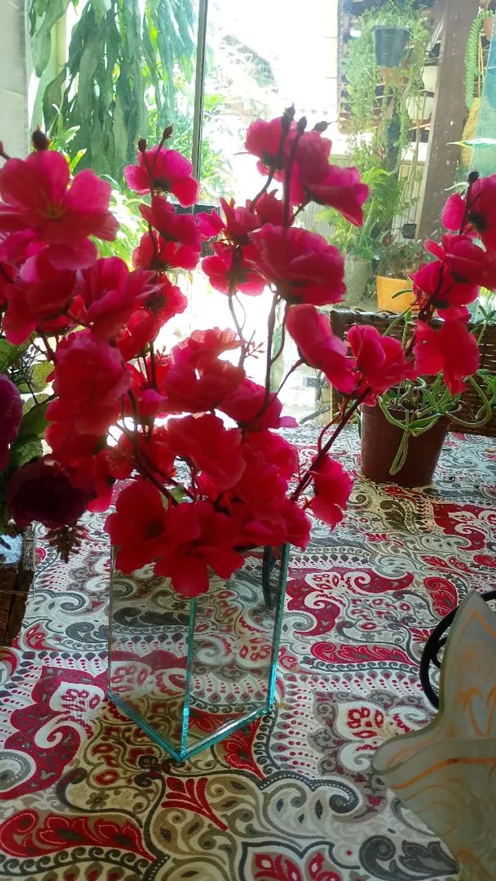 Desapego de arranjo de planta 