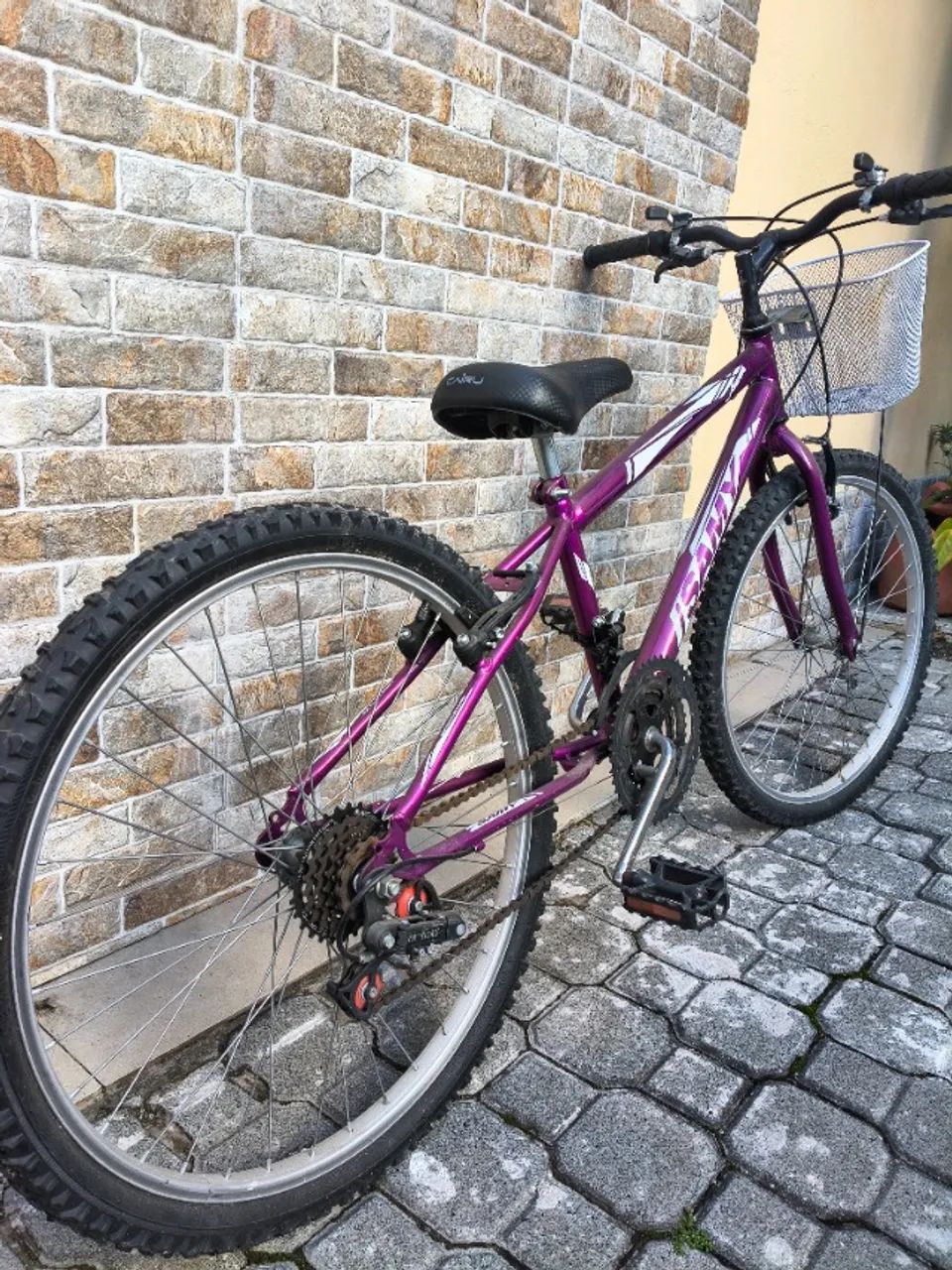 Bicicleta Samy Aro 24 Feminina com Cesta - Foto 4