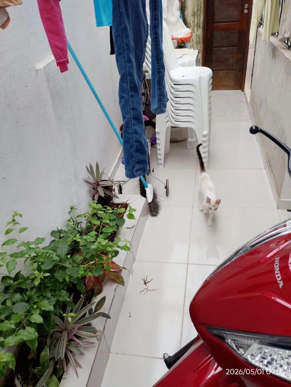 VENDO UMA CASA TOP FAÇA UMA VISITA. - Foto 4