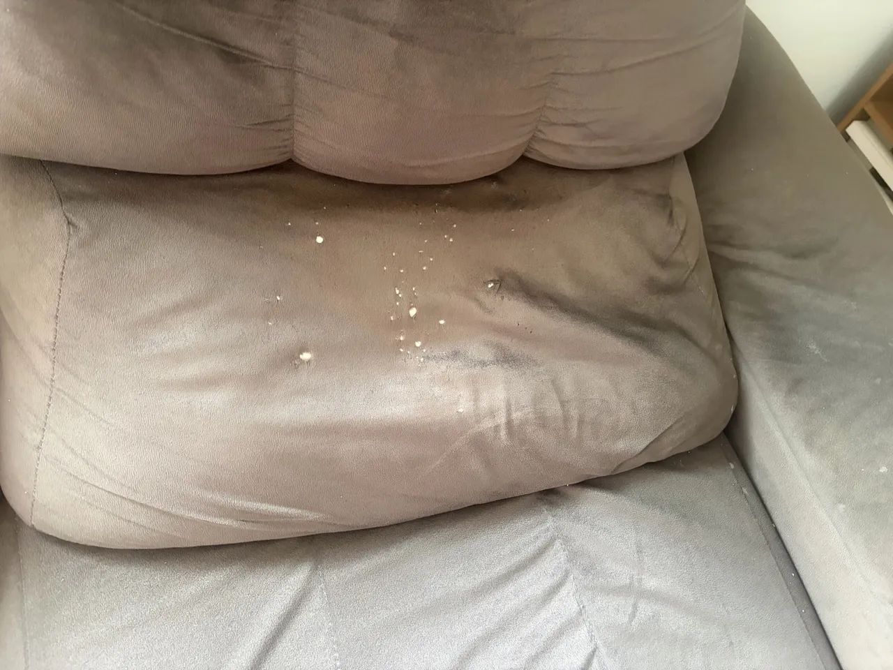 Sofá cama