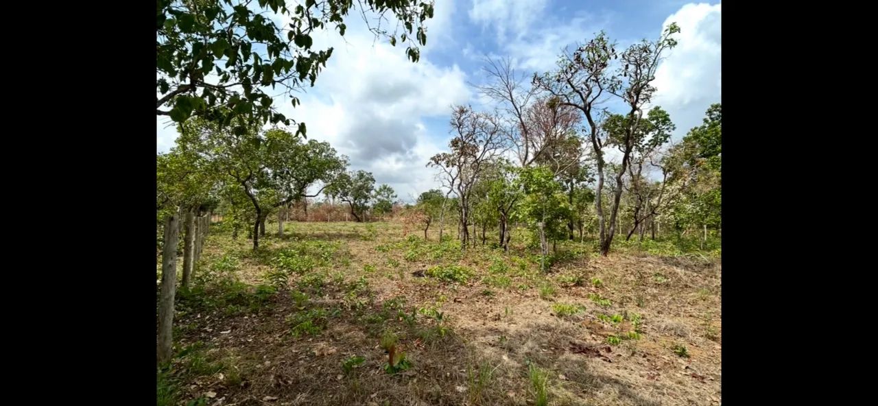 CHÁCARA TAQUARUÇU  - Foto 5