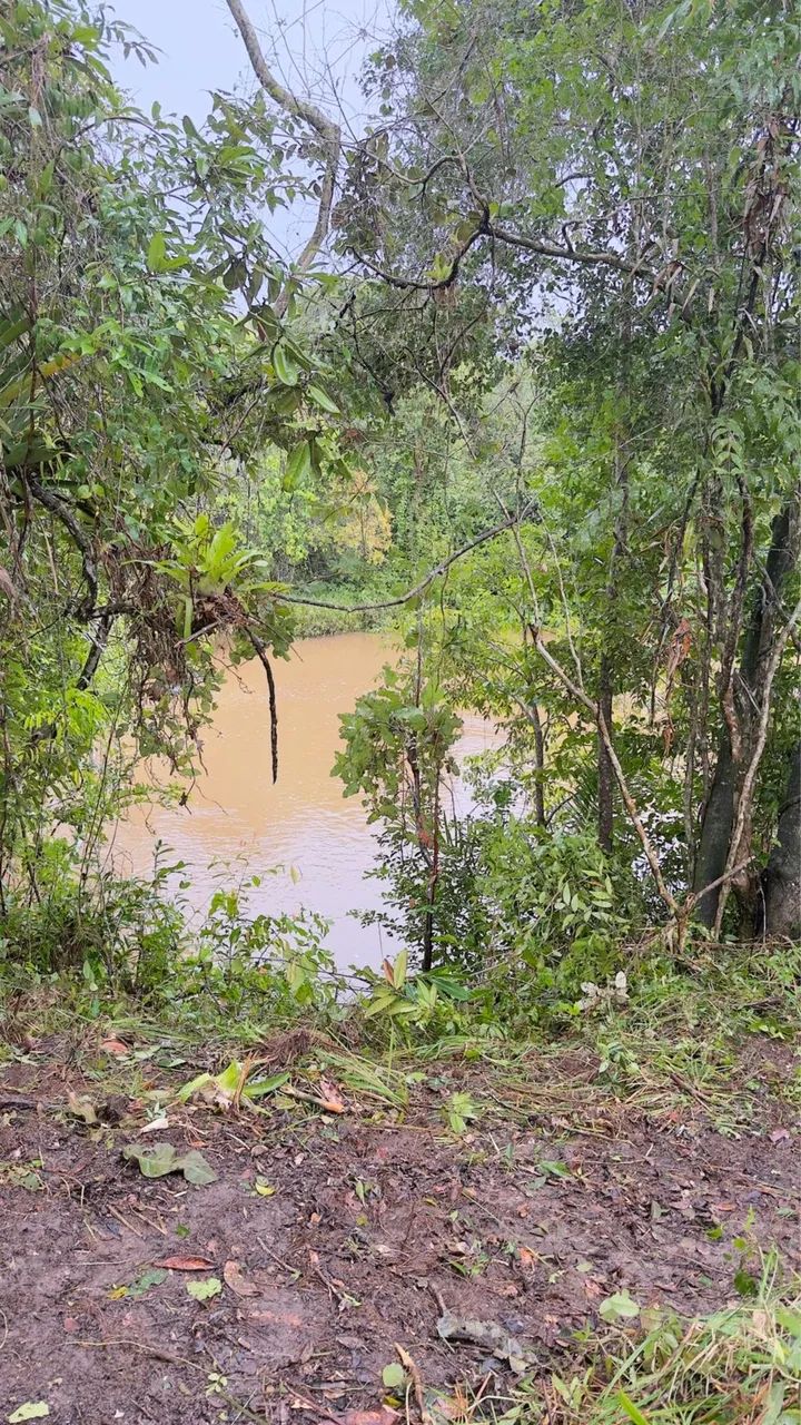 Terreno Tipo Sítio - Foto 5