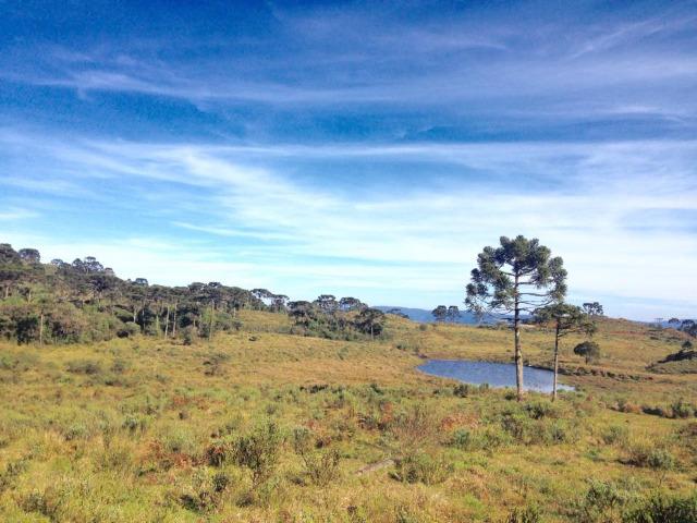 Fazenda em Urubici - SC - Foto 15