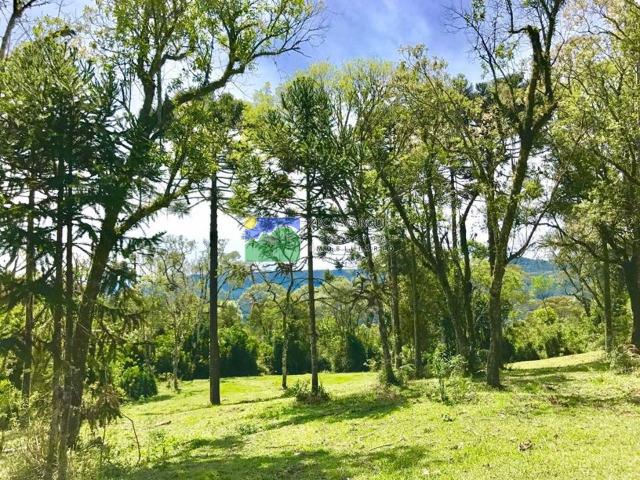 Terreno 2 hectares em Urubici - Foto 6