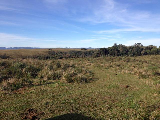 Fazenda em Urubici - SC - Foto 5