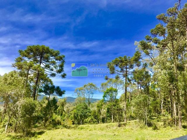 Terreno 2 hectares em Urubici - Foto 8