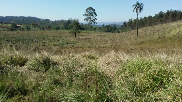 Condomínio de chácaras em Sapiranga - Vivendas do Campo - Foto 9