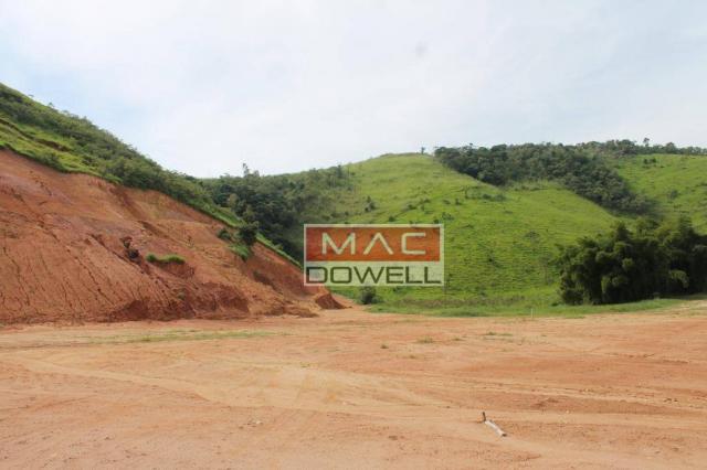 Terreno plano de 40.000 mts² em Papucaia - Foto 13