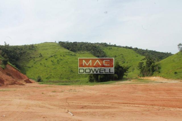 Terreno plano de 40.000 mts² em Papucaia - Foto 14