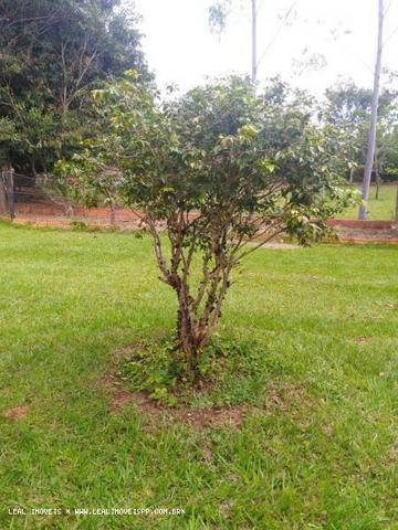 Chacara paineiras imobiliaria leal imoveis 3903-1020 plantão todos os dias * - Foto 9