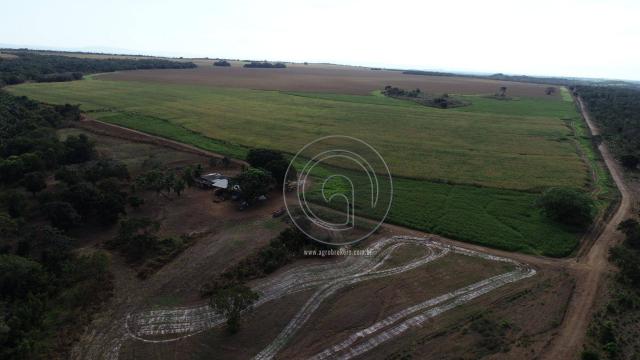 Fazenda à venda, 978 ha, região do manso - Foto 4