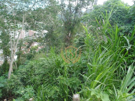 Terreno à venda, 703 m² por r$ 169.000 - panorama - teresópolis/rj - Foto 3