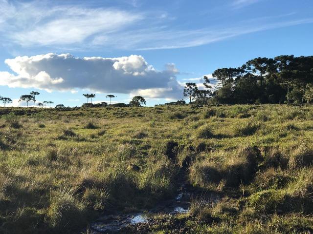 Terreno Urubici Chácara Urubici - Foto 3