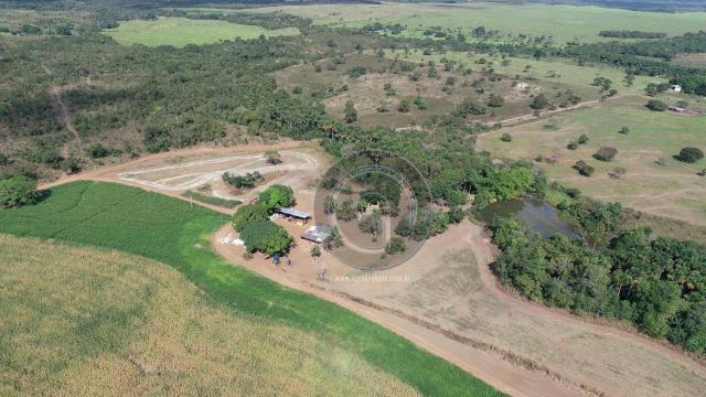 Fazenda à venda, 978 ha, região do manso - Foto 8