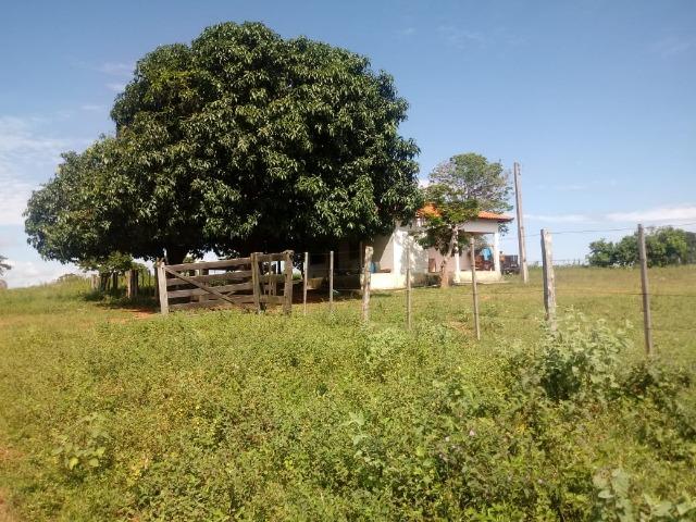 Fazenda 1.940 hectares na Estrada do Manso a 50 km de Cuiabá - Foto 20