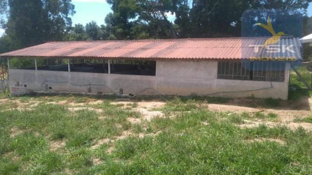 Fa0009 fazenda à venda, 605000 m² por r$ 3.150.000 - zona rural - quitandinha/pr - Foto 3