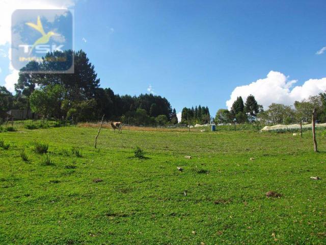 Ch0137 - chácara mandirituba 1 alq. 32 km de curitiba - Foto 14