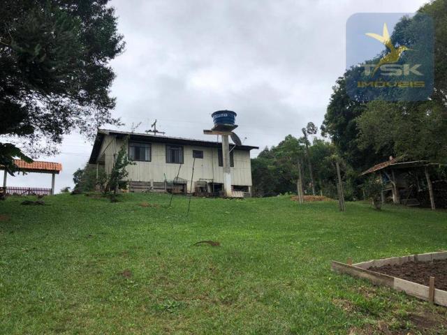 Chácara à venda, 6.957 m² por r$ 175.000 - barco - mandirituba/pr - Foto 5