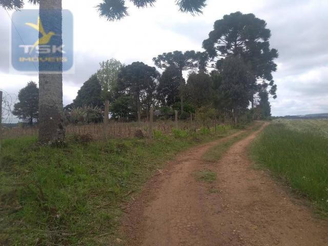 Ch0303 chácara/área industrial mandirituba 15.000 m² aceita chácara menor na troca perto d - Foto 16