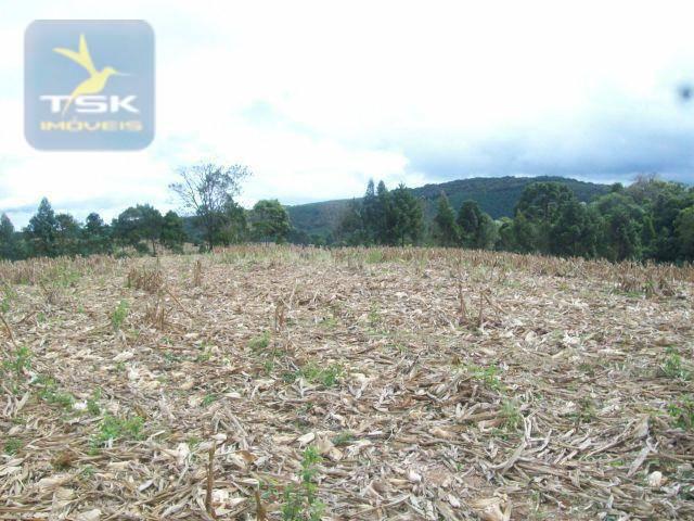 Fazenda em quitandinha - (cerrinho) - - Foto 4