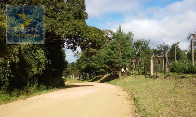 Ch0190 mandirituba chácara 4.400 m² vendo ou troco lugar bom de conhecer - Foto 5