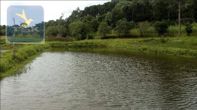 Chácara à venda, agudos do sul. ch0266 - Foto 13