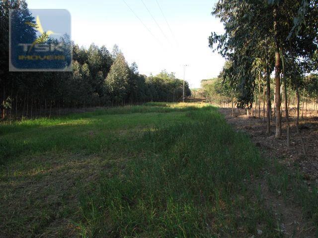 Ch0153 - contenda chácara 59.000 m² plana, rica em águas, parte com eucaliptos - Foto 6