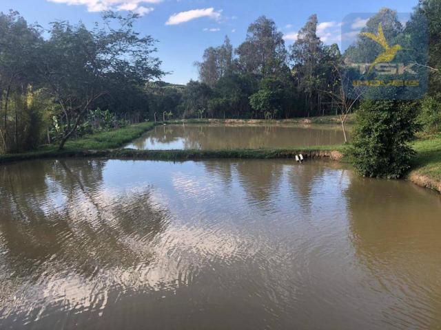 Chácara 4,75 alqueires por r$ 580.000 - centro - bocaiúva do sul/pr - Foto 5