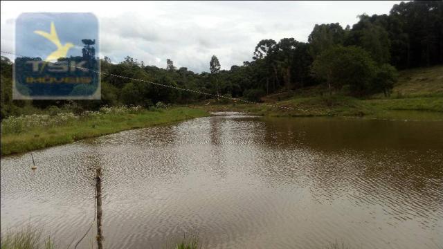 Chácara à venda, agudos do sul. ch0266 - Foto 14