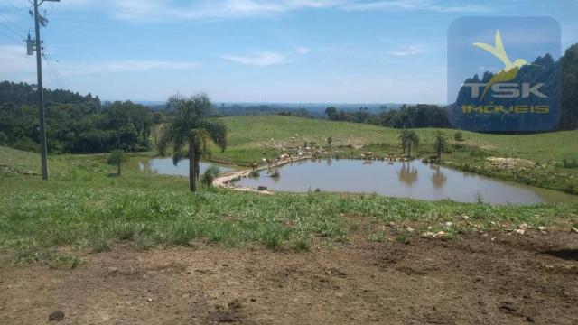 Fa0009 fazenda à venda, 605000 m² por r$ 3.150.000 - zona rural - quitandinha/pr - Foto 14