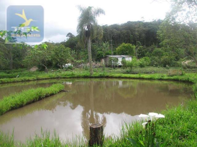 São josé dos pinhais chácara 15.000 m² aqui eu vou ficar ch0159 - Foto 2