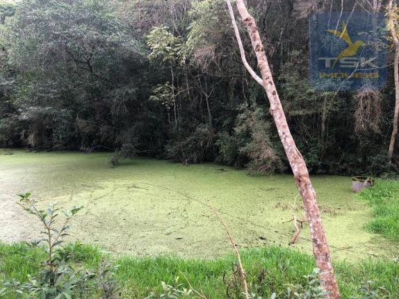 Chácara à venda, 6.957 m² por r$ 175.000 - barco - mandirituba/pr - Foto 17