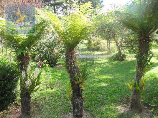 Ch0223 - chácara com 2 dormitórios à venda, 10935 m² por r$ 337.000 - zona rural - agudos - Foto 19
