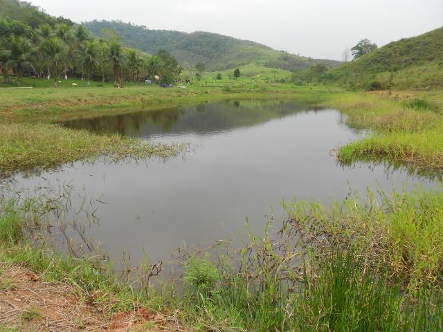 Jordão Corretores - Fazendinha leiteira 5 alqueires - Foto 10
