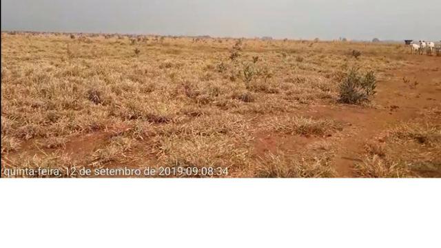 750 Hectares, Pecuária e lavoura, Rosário-MT. Próximo asfalto - Foto 5