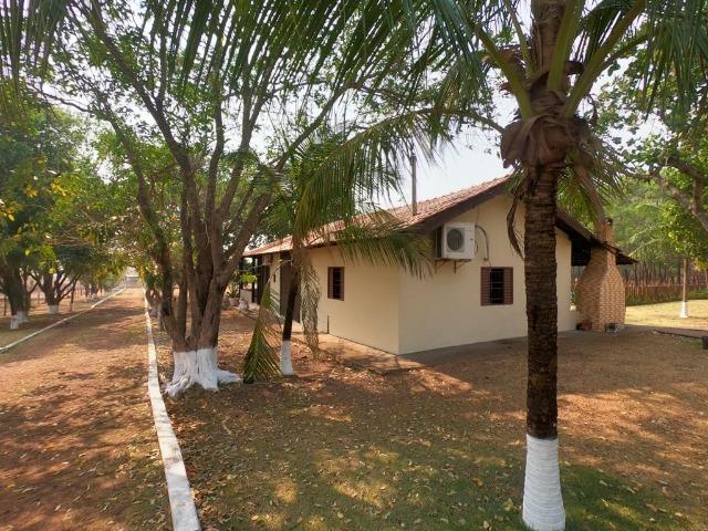Vendo Sítio com 10 hectares à 23 Km de Cuiabá sentido Santo Antonio, - Foto 3